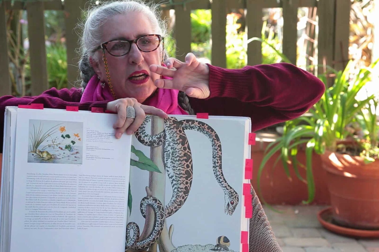 Jill Klein on Maria Sibylla Merian - Look What She Did