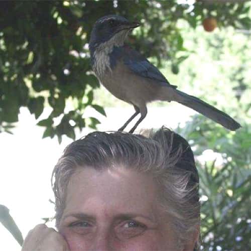JILL-KLEIN